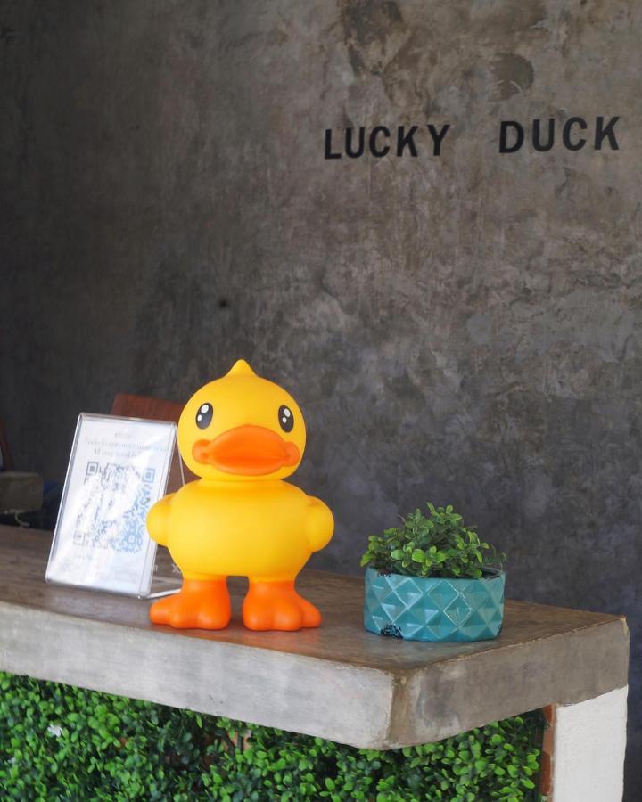 Lucky Duck PJ Hotel Cancún Eksteriør billede